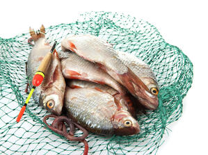 net fishing is like content marketing