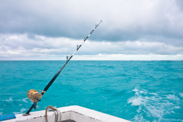 pay per click marketing is like sport fishing resized 600